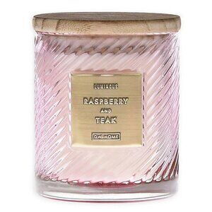 DW Home Raspberry & Teak 10 oz. Scented Spiral Candle in Pink